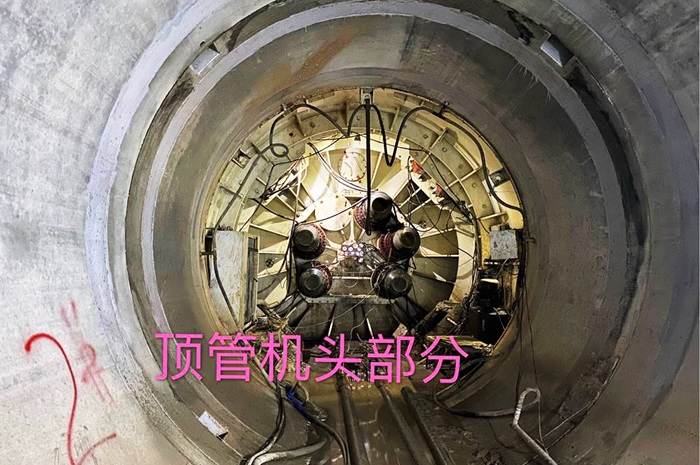 1700202317342659.jpg 圖片2.jpg