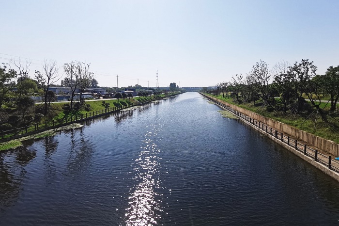 1703839111219651.jpg 槐泗2.jpg